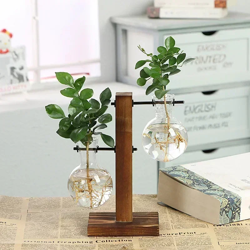 Vintage Glass Terrarium with Wood Frame | Hydroponic Vase | Coastal Home Decor
